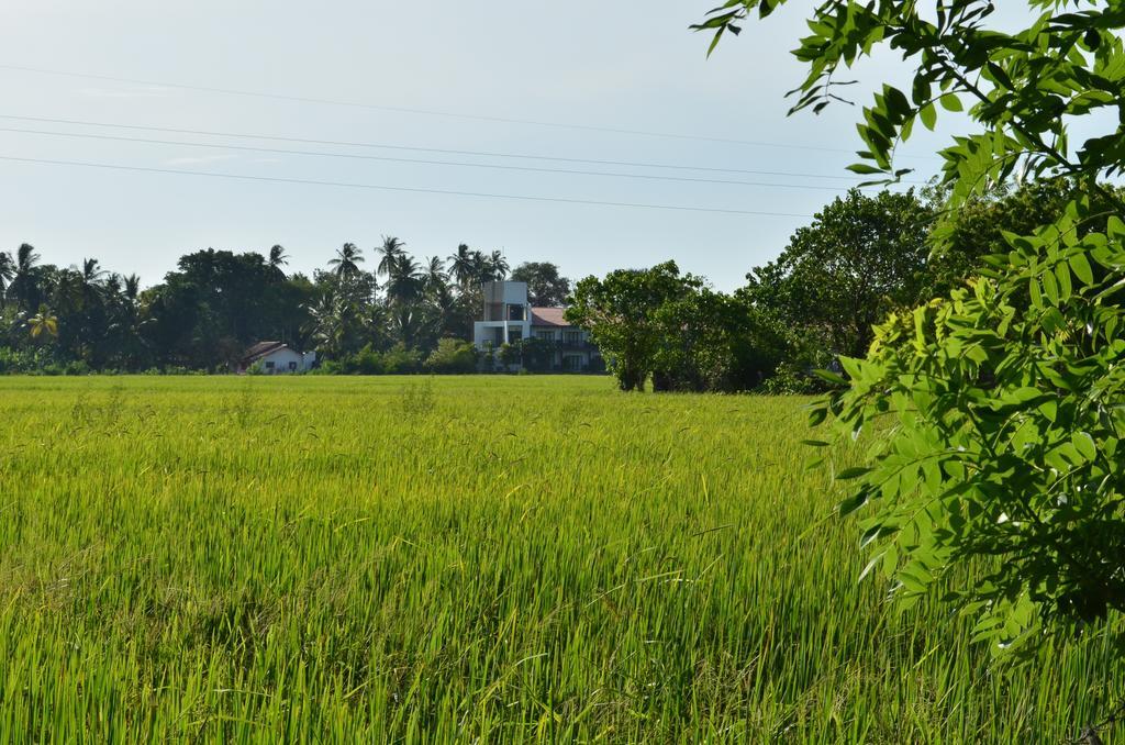 Vallee 69 Eco Villa-Tissa,Yala تيساماهاراما المظهر الخارجي الصورة